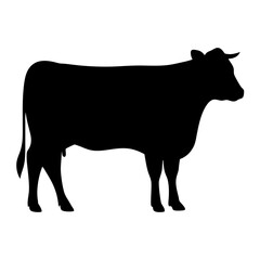 A Detailed Silhouette of a Bull Standing on a White Background