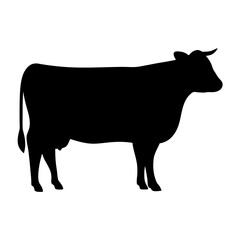 Silhouette of a Domestic Cow Standing on a White Background Isolated