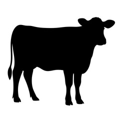 Black silhouette of a cow standing against a solid white background scene
