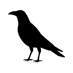 Silhouette of a standing crow against a white background in stark contrast