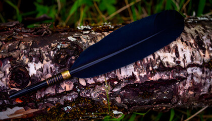 Ancient Photorealistic Arrow on Neutral Background