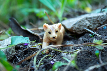 Tiny lion figurine exploring soil and plants, playfully pawing the ground in a natural outdoor...