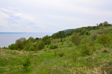 Naklejka premium Scenic Hillside with green trees and grass Overlooking a River on a Cloudy Day
