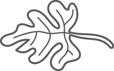 Outline of Oak Leaf