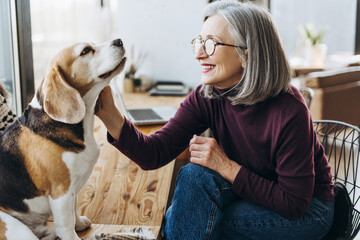 Senior freelancer woman petting beagle dog while working from home office
