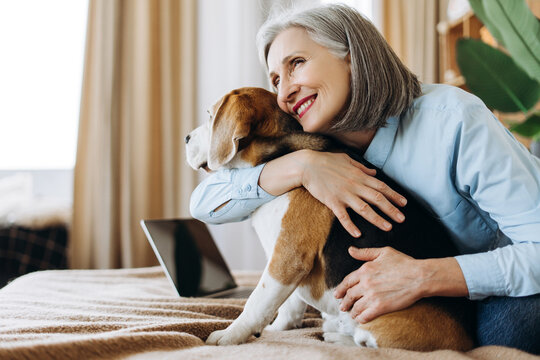 Beautiful, smiling senior woman hugging beagle dog at home on bed