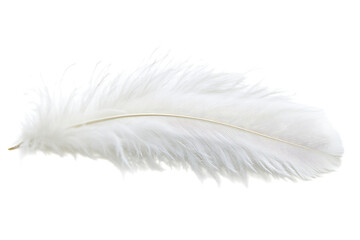 Fototapeta premium Soft white feather isolated on transparent background representing purity, lightness and softness