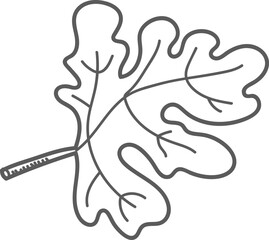 Obraz premium Oak Leaf Line Drawing