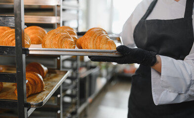 Baker holding tray of freshly baked croissants in bakery