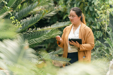 Scientist woman using smart tablet to research cactus species in greenhouse garden. Modern technology, botany, and data-driven plant research for sustainable agricultural development.