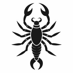 Scorpion Silhouette Icon, Top View Insect