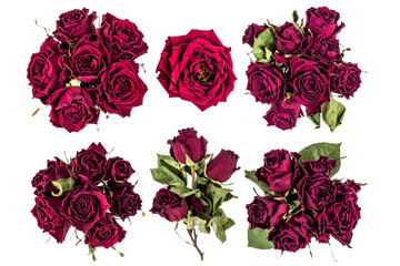 Three Dried red rose bouquet, top view isolated on a transparent background