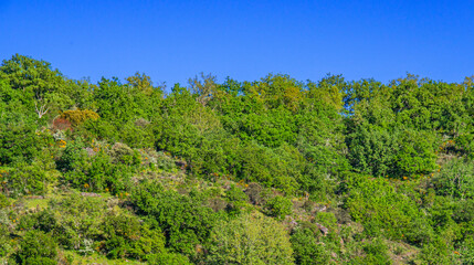 Mediterranean Forest Scrub Landscape, Arribes del Duero Natural Park, SPA, SAC, Biosphere Reserve,...
