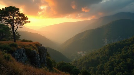 Obraz premium Cloudy dawn in Otzarreta Forest, panoramic view of mossy trees and winding forest paths.