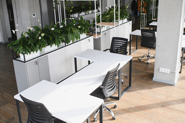 Modern office interior design featuring white desks and green plants