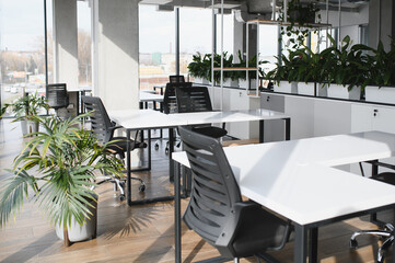 Modern office interior design with green plants enhancing workspace