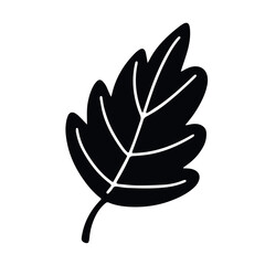 Hand-drawn leaf silhouette in casual doodle style, providing clean and organic feel for logos, stationery and decorative designs