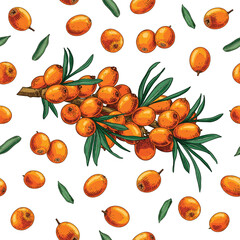 Hand drawn colorful fresh sea ​​buckthorn berries. Vector seamless pattern with sea ​​buckthorn on a branch, leaves and berries. For kitchen design, food packaging, textiles.