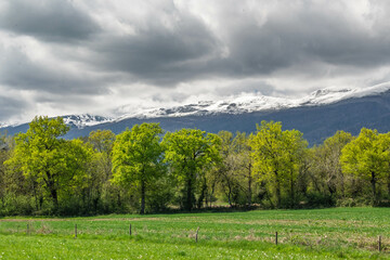 Le sommet d’une montagne du Jura encore enneigé au printemps, contrastant avec les pentes verdoyantes et la lumière douce de la saison.