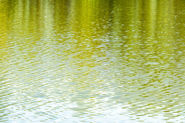 Un gros plan sur la surface d’un étang, où l’eau reflète des teintes vertes et jaunes, créant des motifs abstraits et naturels au fil des ondulations.