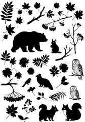 Foto auf Acrylglas Waldtiere Silhouette Forest: Autumn Animals & Leaves  © Joseph