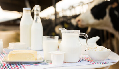 Milk, cottage cheese, cream, cheese on table against background of cows