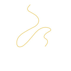 Golden thread Vector Illustration 