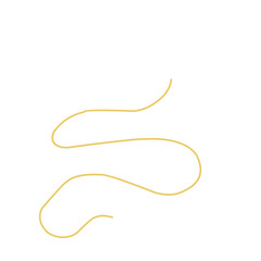Golden thread Vector Illustration 