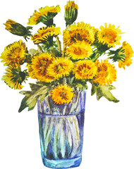 A bouquet of yellow dandelions in a vase. Watercolor flowers,  illustration, isolated on transparent background.