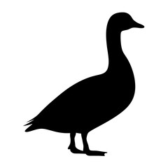 Elegant silhouette of a goose standing tall on a white background