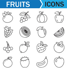 Clean and simple icons of fresh fruits like apples, cherries, and grapes, drawn by hand.