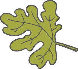 Watermelon Leaf Sketch