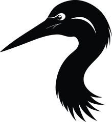 black crowned night heron