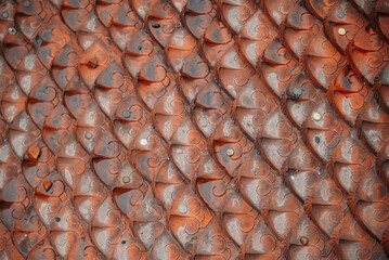 The tiled roof of the pagoda at the Temple of Literature after the rain in Hanoi, Vietnam. Abstract background