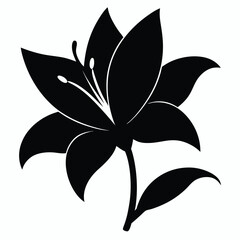 Obraz premium black and white flower