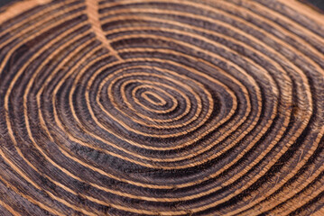 Wooden dark background, texture, vintage blank wood surface