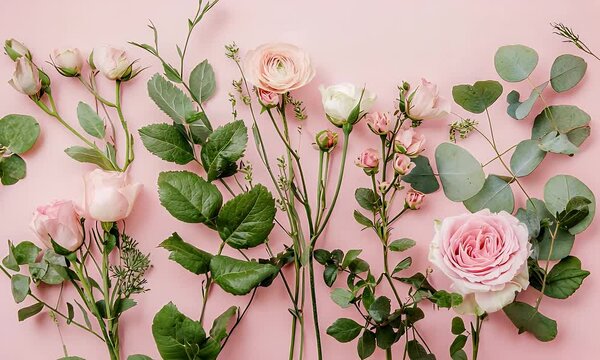 Pink Roses Ranunculus and Eucalyptus Leaves on Light Pink Background Floral Still Life