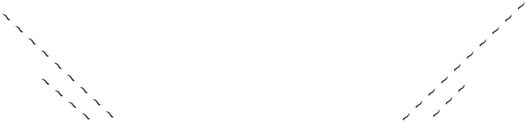 手描きの斜め二重飾りラインイラスト