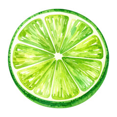 Watercolor Lime Slice Juicy Green Citrus Fruit Perfect for Summer Recipes and Cocktails