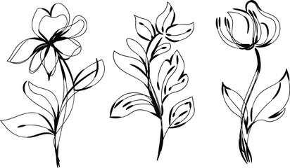 Three Abstract Floral Line Art Designs Elegant Botanical Illustrations