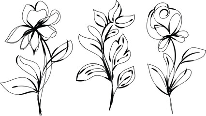 Three Abstract Line Art Floral Designs Botanical Illustrations Black and White Simple Minimalist Flowers