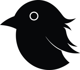 black and white bird