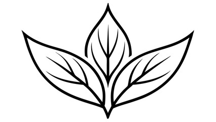  luxury graphic element on white background  BACKGROUND 