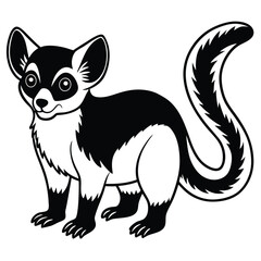 Fototapeta premium lndri vector illustration white background