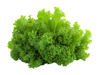 Fototapeta premium 3D Fresh Green Kale Icon – High-Quality Organic Leafy Vegetable Illustration for Healthy Food, Diet, and Vegan Cooking Projects.