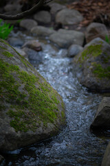 Flowing water through moss-covered rocks in a serene natural setting