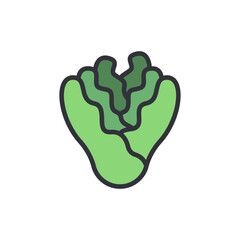 Illustrative Lettuce Head Representing Freshness And Healthy Eating