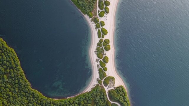 Verdant isthmus bridging calm waters, showcasing lush landscape from overhead, revealing natural geographic connection