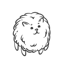 Cute fluffy Pomeranian dog in doodle outline style. Minimalist cartoon puppy perfect for coloring pages, kids designs, stickers, and prints.