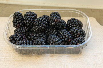 ripe blackberries in a plastic container